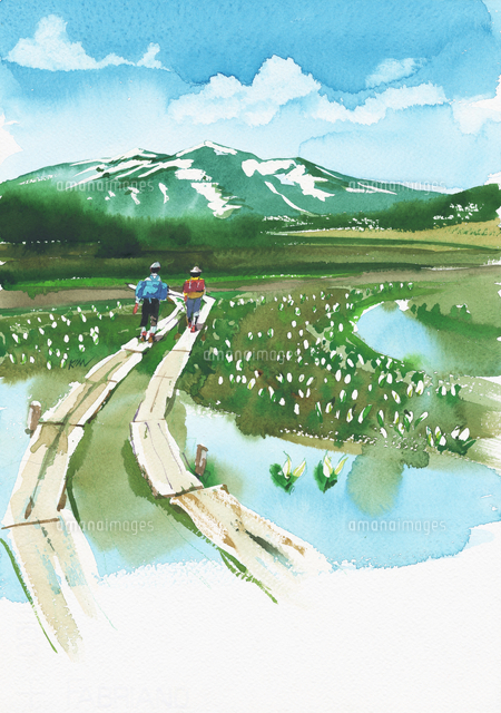 水芭蕉のある風景 水彩[20037008281]の写真・イラスト素材｜アマナ