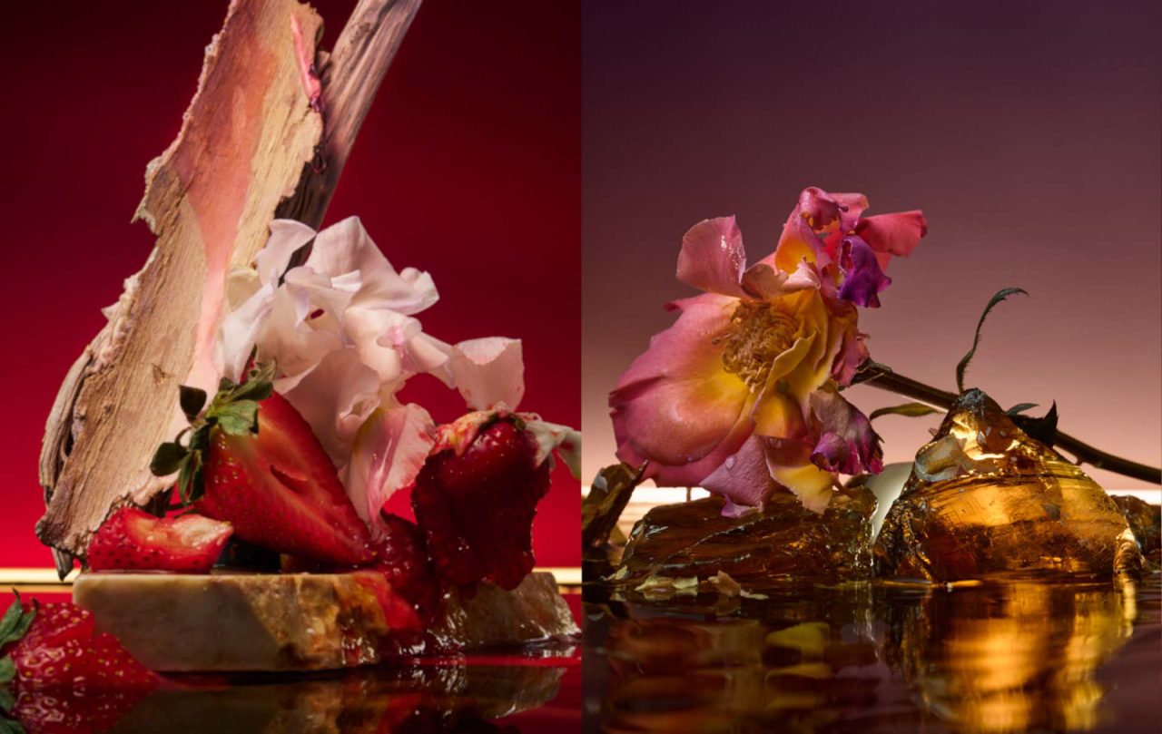 愛と本能をテーマにした濃密な香り。ドルセーがエクストレドゥ