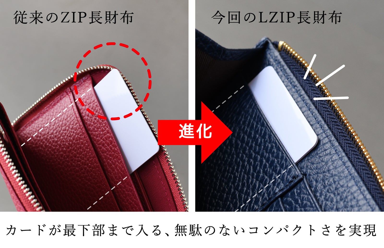 コンパクト”だけ”ではない。縦入れカードもつっかえず収まる特別設計L