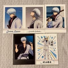 m14246997700_1.jpg?1729327484