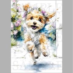 m16202929695_1.jpg?1751406561