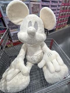 m17461985825_1.jpg?1758280985