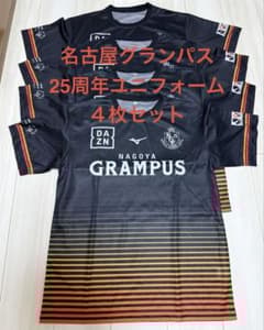 希少・当選品】名古屋グランパス ヴァスティッチ 直筆サイン入り写真