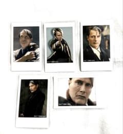 m19754003610_1.jpg?1761658153