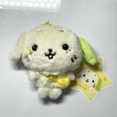 m19133795158_1.jpg?1747746807