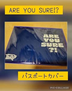 公式】ARE YOU SURE!?パスポートカバー - メルカリ