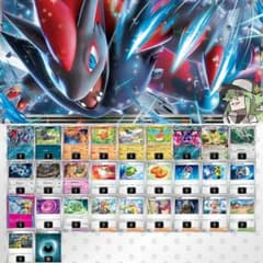 m12970606285_1.jpg?1738846323