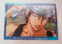 m13566601424_1.jpg?1731152927