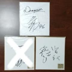 直筆サイン色紙 中日ドラゴンズ 2枚セット - メルカリ