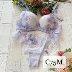 新品】wacoal パルファージュ 44 ブラ ソングセット C75M PU - メルカリ