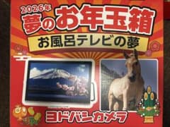 m29692263058_1.jpg?1767014668