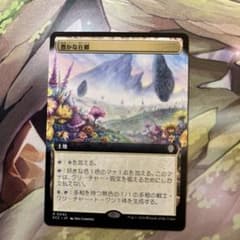 d5656 MTG 豊かな在郷 - メルカリ