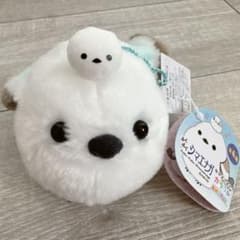 m23795837902_1.jpg?1736211857