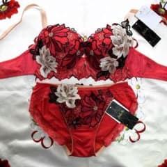 新品☆ワコール☆サルート☆96G・プラダを着た悪魔☆RE☆E70＆