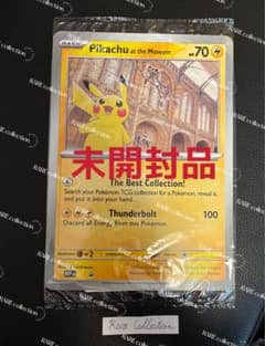 Pikachu at the Museum ピカチュウ ロンドン自然史博物館34 - メルカリ