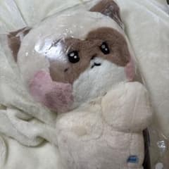 m38399360564_1.jpg?1764988155