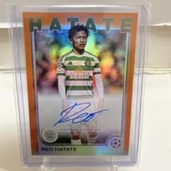 m30783177203_1.jpg?1736214832