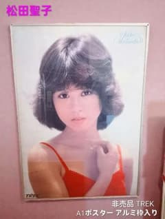 本田翼 ばっさー ポスター JR SKI SKI 青春は、純白だ。B1サイズ