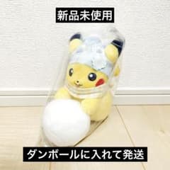 ポケモンセンター限定 ピカチュウとゆきあそび ゆきだるま ぬいぐるみ