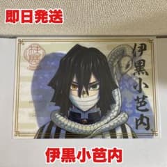 m45172379659_1.jpg?1731778286