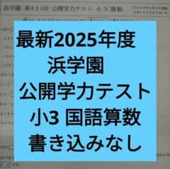 最新2025年度】 浜学園 公開学力テスト 小3 国語算数 2教科 - メルカリ