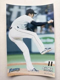 北海道日本ハムファイターズ 大谷翔平 ハイライト フォト 公式 写真