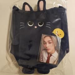 RIIZE ウォンビン FANLIGHTバッグ POPUP 6000円特典トレカ - メルカリ