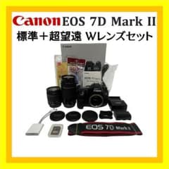 安心の手ぶれ補正☘️ EF-S 55-250mm 望遠ズームレンズ コンパクト