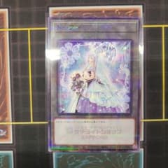 m49166764327_1.jpg?1767080998