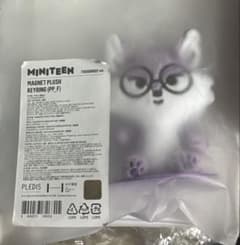 SEVENTEEN MINITEEN ミニティーン マグネットキーリング ウォヌ - メルカリ