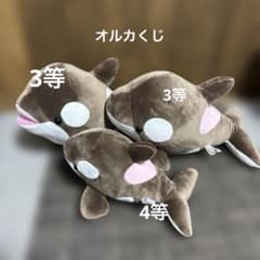 神戸須磨シーワールド オルカくじ バレンタイン限定カラー シャチ