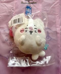 ナガノの水族館 アザラシぬいぐるみくじ D賞 マスコット(ねこ) - メルカリ