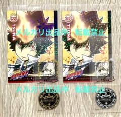 希少 プレミアムカラー 沢田綱吉 リアルペイントシート カード