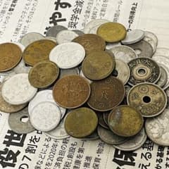 m55355551075_1.jpg?1761358203