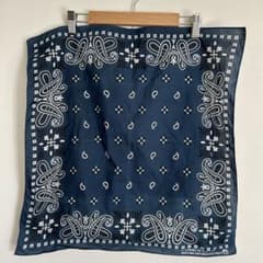 m56415741720_1.jpg?1748408804