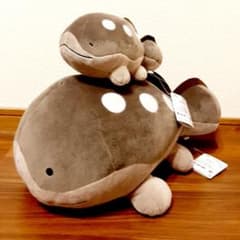 m58720109827_1.jpg?1709654480