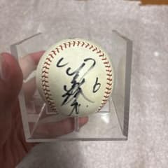 阪神タイガース 金本知憲選手 直筆サインボール - メルカリ