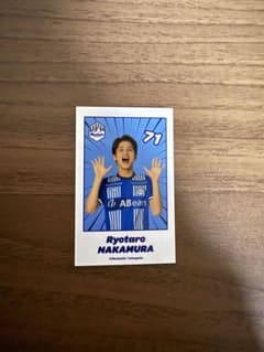 m59059813687_1.jpg?1742725463