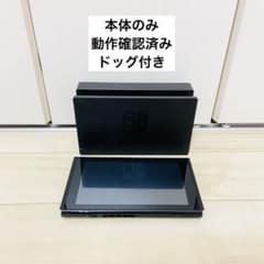 動作確認済】Nintendo Switch ニンテンドースイッチ 本体とドッグ