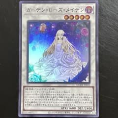 m51453237890_1.jpg?1723367469