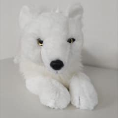 m52914299973_1.jpg?1723965684