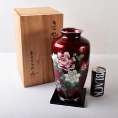 m53721468284_1.jpg?1730431270