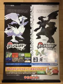 m65585729576_1.jpg?1741518332