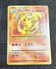 いーぶい様専用 ポケモンカード 旧裏 ウィンディ イントロパック