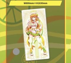 beatmania IIDX グッズキャンペーン 等身大タペストリー イロハ - メルカリ