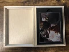 MTG 始祖ドラゴン フルプロテクトスリーブ マジック大戦祭 - メルカリ