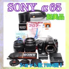 ショット数少なめ◇SONY α65◇元箱＆カメラバッグ付き◇一眼レフカメラ