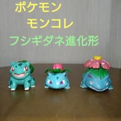 m61158220313_1.jpg?1715436774