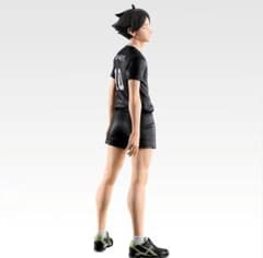 最安ショップ比較】 一番くじ ハイ*キュー – 最強の挑戦者 – C賞 角名