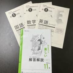 高1 2024年度 11月 進研模試 総合学力テスト ベネッセ - メルカリ